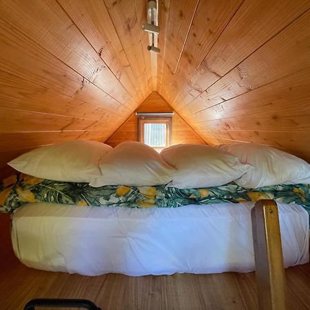 Studio Or Cabin On Whitby Нельсон Екстер'єр фото