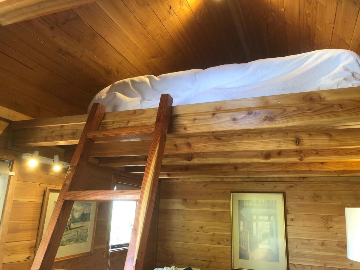 Studio Or Cabin On Whitby Нельсон Екстер'єр фото